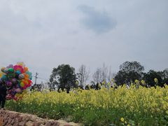 -三圣花乡旅游区