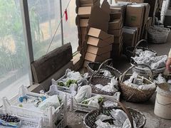 -马陆小张葡萄园农家乐