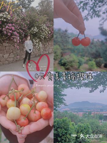 免费免费 免费 重要的事情说三遍  枯桃花艺生态园居