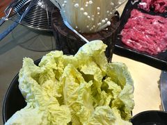 -手选潮汕鲜活牛肉火锅(二七广场店)