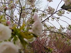 -郑州中国绿化博览园