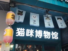 -猫咪博物馆(顶澳仔猫街店)