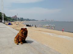 -兴城海滨风景区