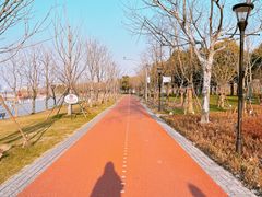 -上海山野camping·户外天幕烧烤·团建拓展营地