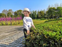 -白塘生态植物园