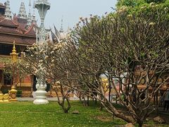 -西双版纳总佛寺