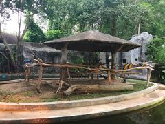 -清迈夜间动物园