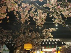 -绿茶餐厅(朝阳大悦城店)