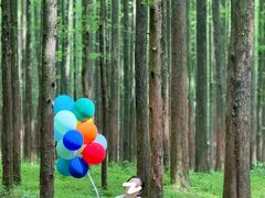 -山王坪喀斯特国家生态公园