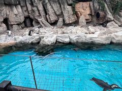 -上海野生动物园
