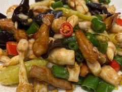 -顺德了能馆(虎门店)