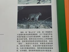 -青藏高原野生动物园