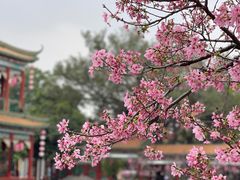 -宝墨园景区