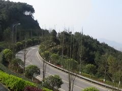 -铁山坪森林公园