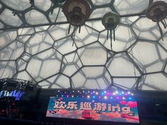 -水立方嬉水乐园