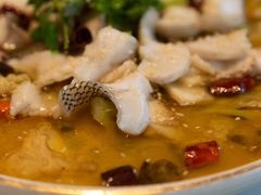 酸菜鲈鱼-潮上潮(南中环店)