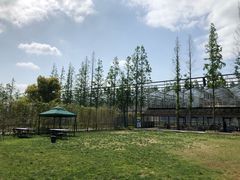 -前小桔亲子创意农场·草莓采摘·露营烧烤