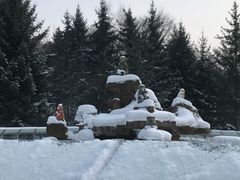 -横道河子东北虎林园