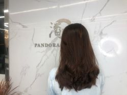 -潘多拉Hairsalon
