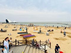 -碧海金沙