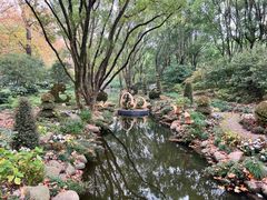 -上海共青森林公园