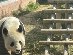 -苏州太湖国家湿地公园
