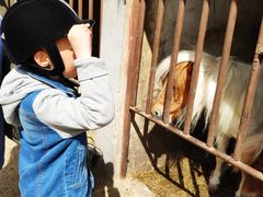 -月河湾马术俱乐部(朝阳店)