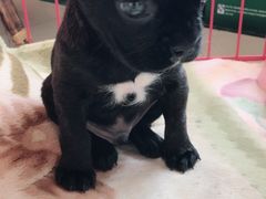 -青岛东方影都融创水世界