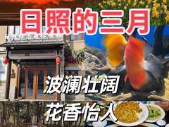 -日照海滨国家森林公园