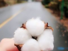 -南京市无想山景区