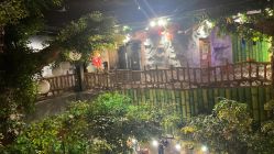 -Zoolung Zoolung动物主题公园(海信广场店)