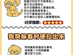 -立德动物医院·24小时中心(番禺区院区)