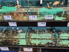 -万山楼海鲜酒家·二十三年老字号