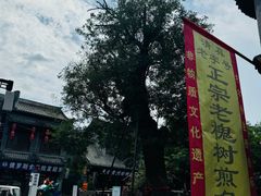 -老槐树煎包