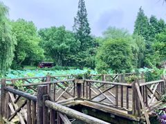 -乌镇望津里精品酒店