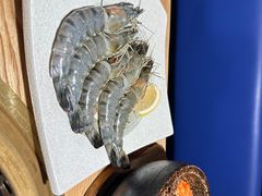 -江户烧肉(高德店)