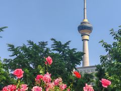 -中国人民解放军空军特色医学中心(空军总医院)