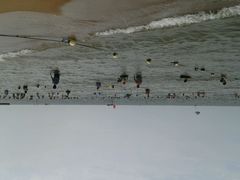 -南戴河国际娱乐中心