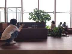 -Seesaw Coffee(朝阳大悦城店)