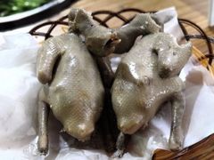 -石岐乳鸽村(桥观坊南四巷店)