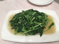 -金蝉食府(维吉奥广场店)