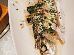 -沪碟·精菜坊(闵行店)