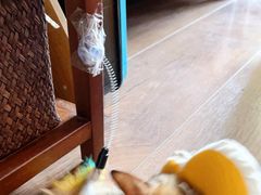 -北京赛佳动物医院