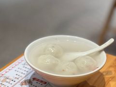-海丝金凤(金鱼店)