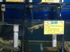 -蚝专家(北滘店)