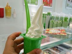 -Salud撒露欧洲冻酸奶(北苑上品店)