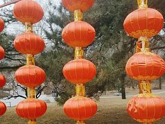 -北京植物园-展览温室