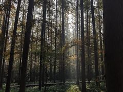 -上海怡沁园度假酒店