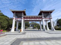 -王借岗森林公园