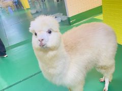 -武汉5D星空错觉艺术馆(中心百货店)
